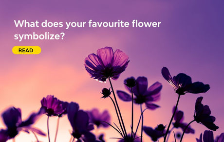 Flower meanings: what does your favourite flower symbolize?