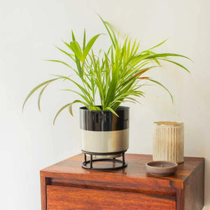 Dual Tone Metal Planter