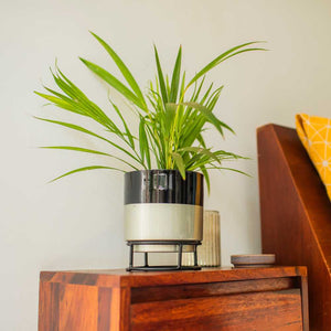 Dual Tone Metal Planter