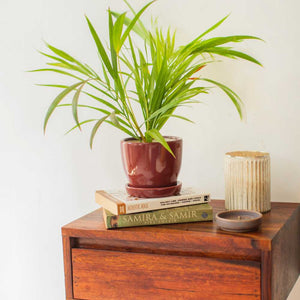 red ceramic planter on side table