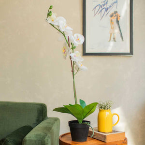 Artificial White Orchid Potted Plant