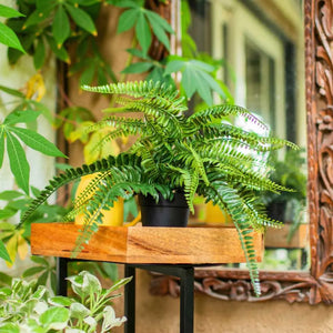 Evergreen Duo: Metal Planter & Artificial Potted Fern