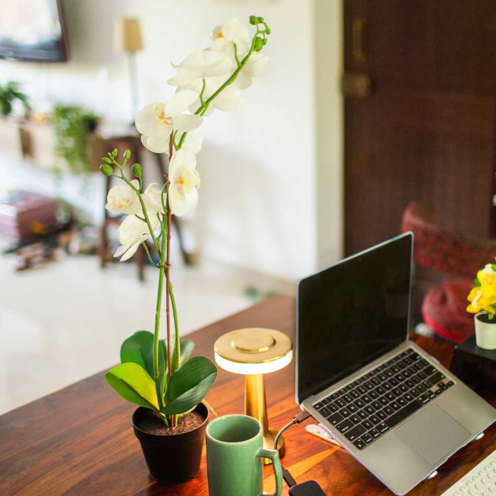 Artificial White Orchid Potted Plant