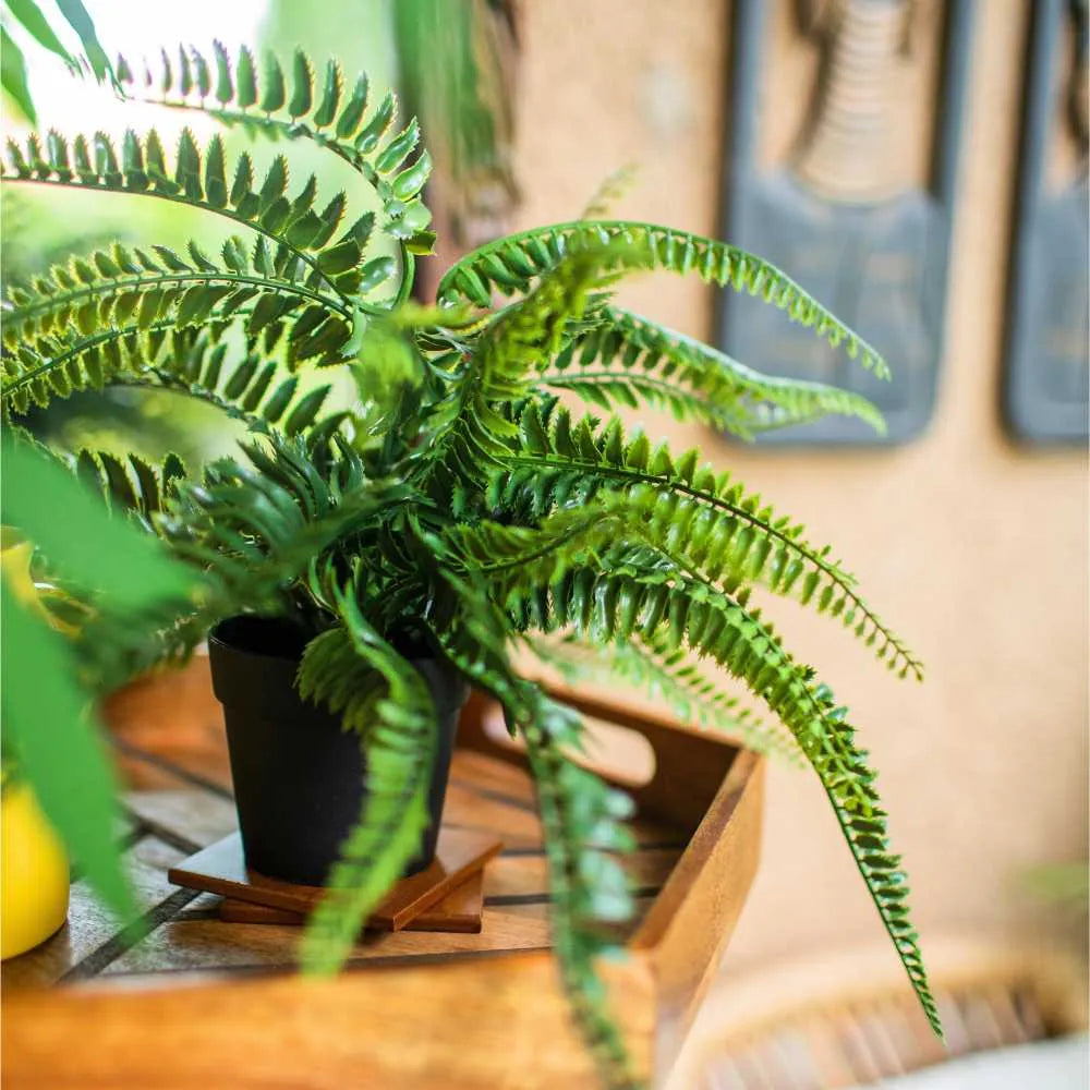 Artificial Fern Potted Plant