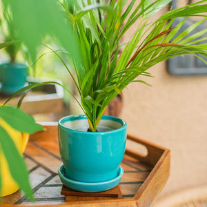 Blue ceramic planter with tray