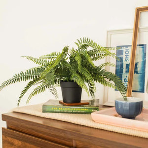 Evergreen Duo: Metal Planter & Artificial Potted Fern