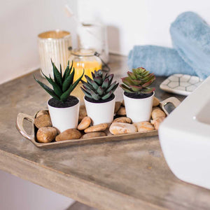 Small Artificial Succulents Potted Plant | Set of 3