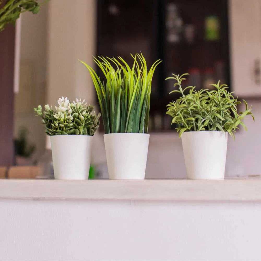 Small Artificial Herbs Potted Plant | Set of 3