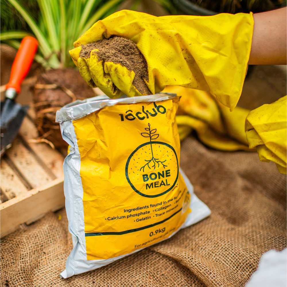 Bone Meal Powder for Home Garden - 900 gm