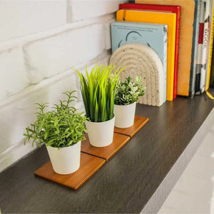 Small Artificial Herbs Potted Plant | Set of 3