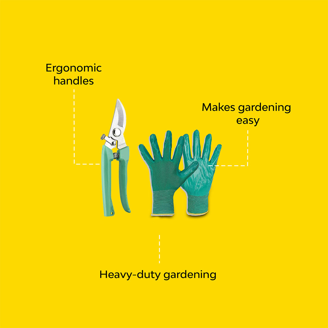 Gloves and branch cutter for plant care