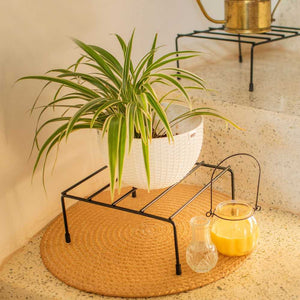 Indoor metal plant stand