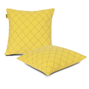 Square cushion cover set of 2 