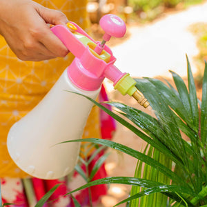 Pink watering spray pump for plants