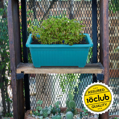 Blue window planter