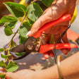 Hand pruner for plant grooming