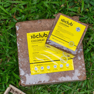 Small cocopeat pack with large cocopeat pack