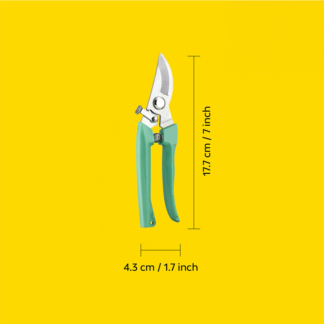 Branch cutter with dimensions