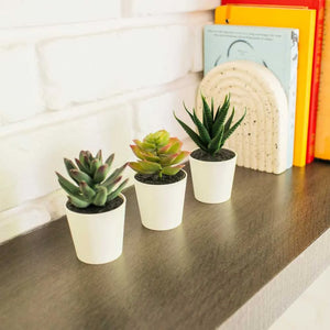 3 Set Small Artificial Succulents Potted Plants