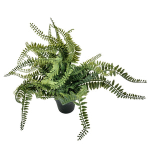 Fake Fern Potted Plant