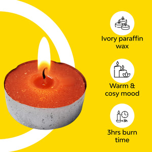 Paraffin wax cinnamon scented candles