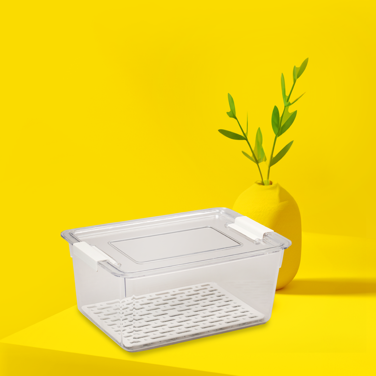 Pantry Storage Plastic Box | Single