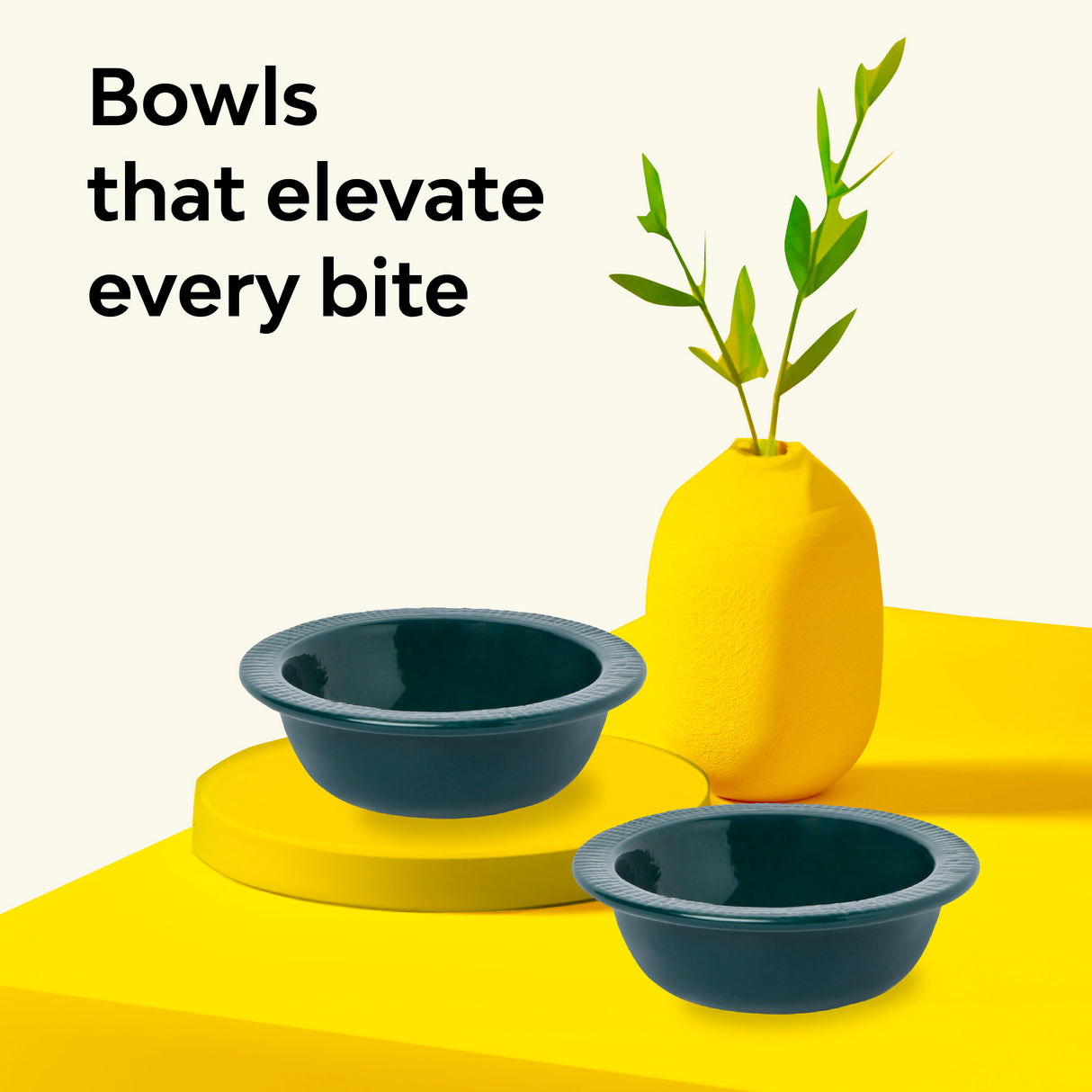 Ceramic bowls for dining