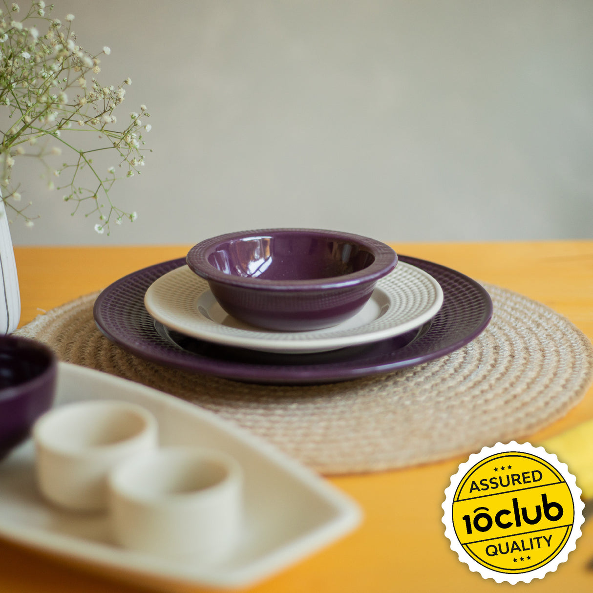 Classic Ceramic Dinner Plate | Set of 2