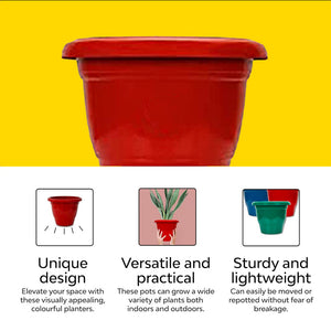 Coloured Garden Pots | Set of 2