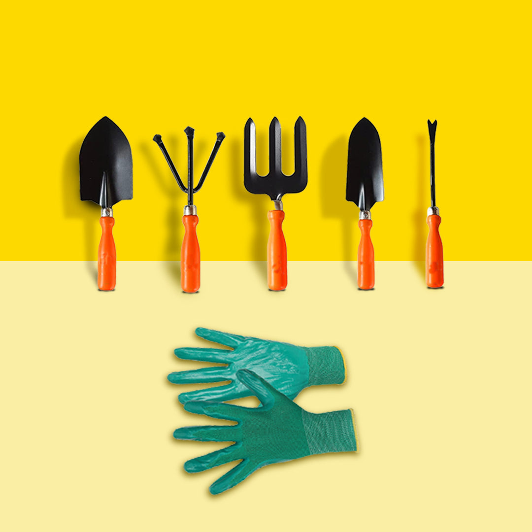 Hand tools 6pcs