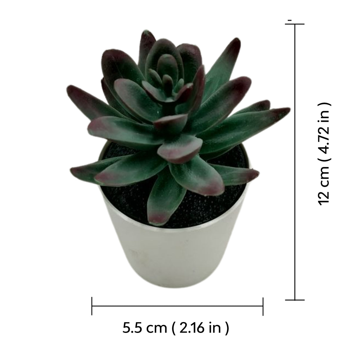 Artificial succulent with size 