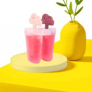 Popsicle Mould | Set of 2