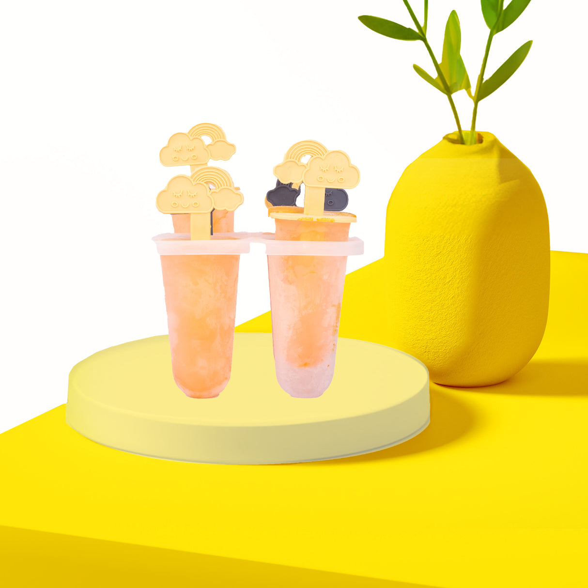 Popsicle Mould | Set of 6