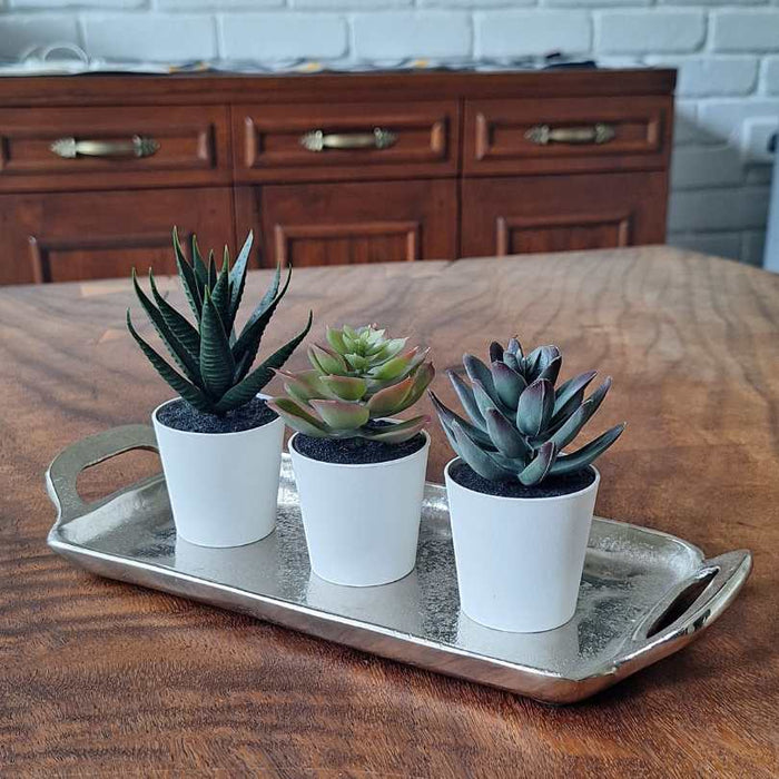 artificial succulent set for home 