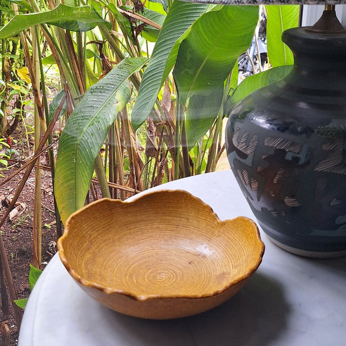 Ceramic serving bowl 