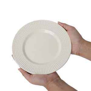 Solid white ceramic plate