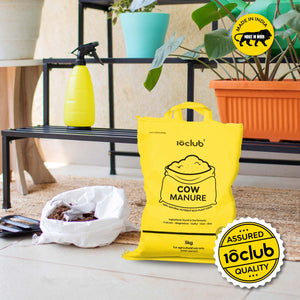 Cow Manure for Home Garden