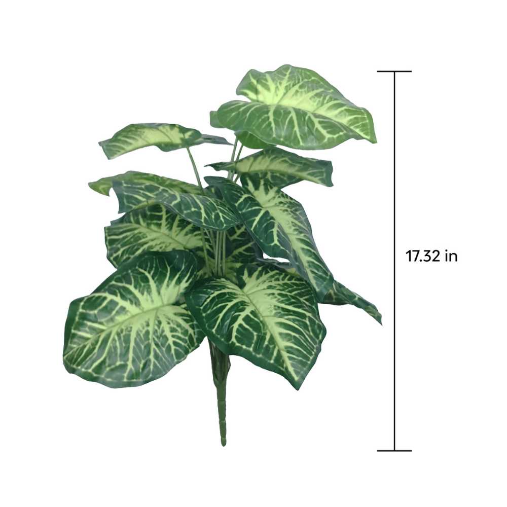 17 inch fiddle leaf plant