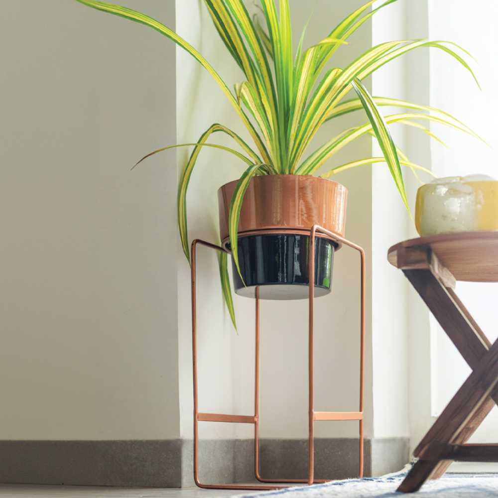 brown long plant stand for home