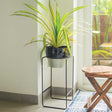 Long plant stand for indoor