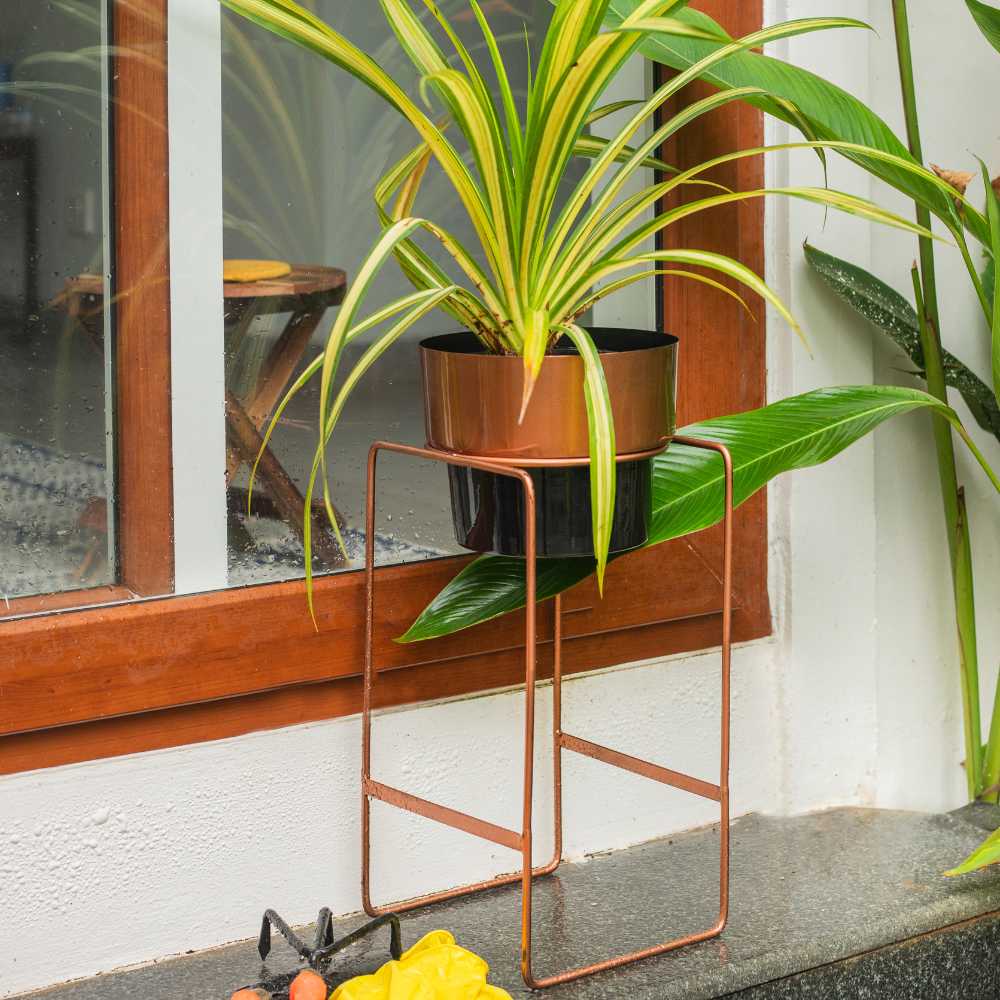 copper colour plant stand for home
