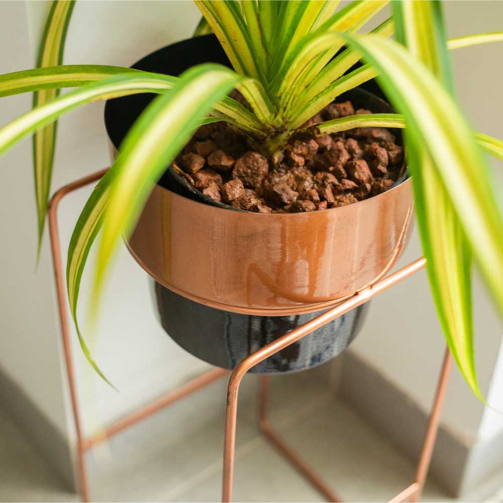 Metal brown plant stand with pot