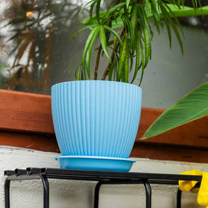 Dome shaped plastic plant pot