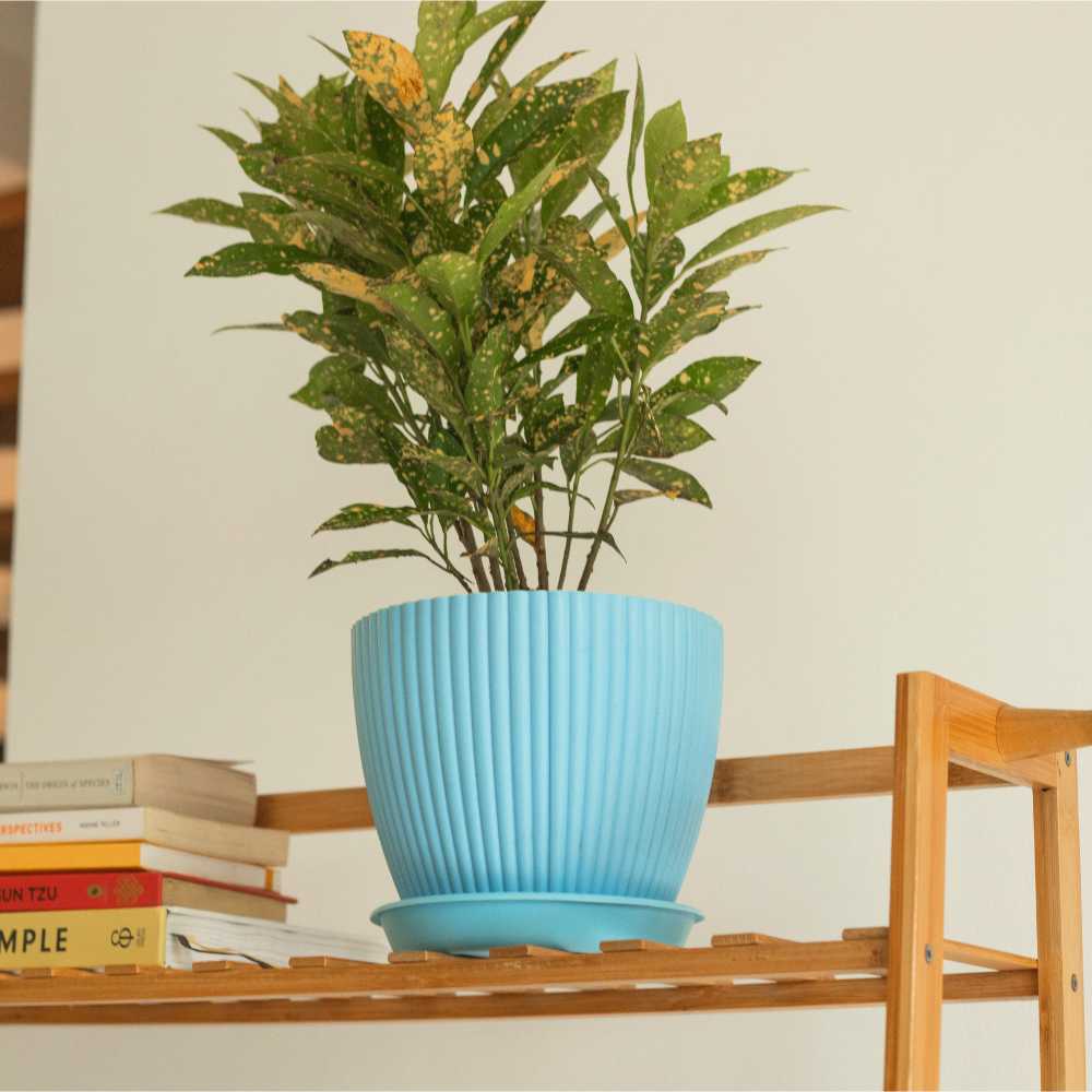 Light blue fluted plastic pot