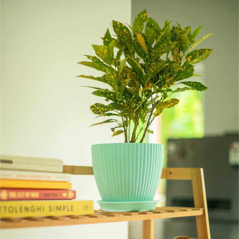 Mint green fluted plant pot