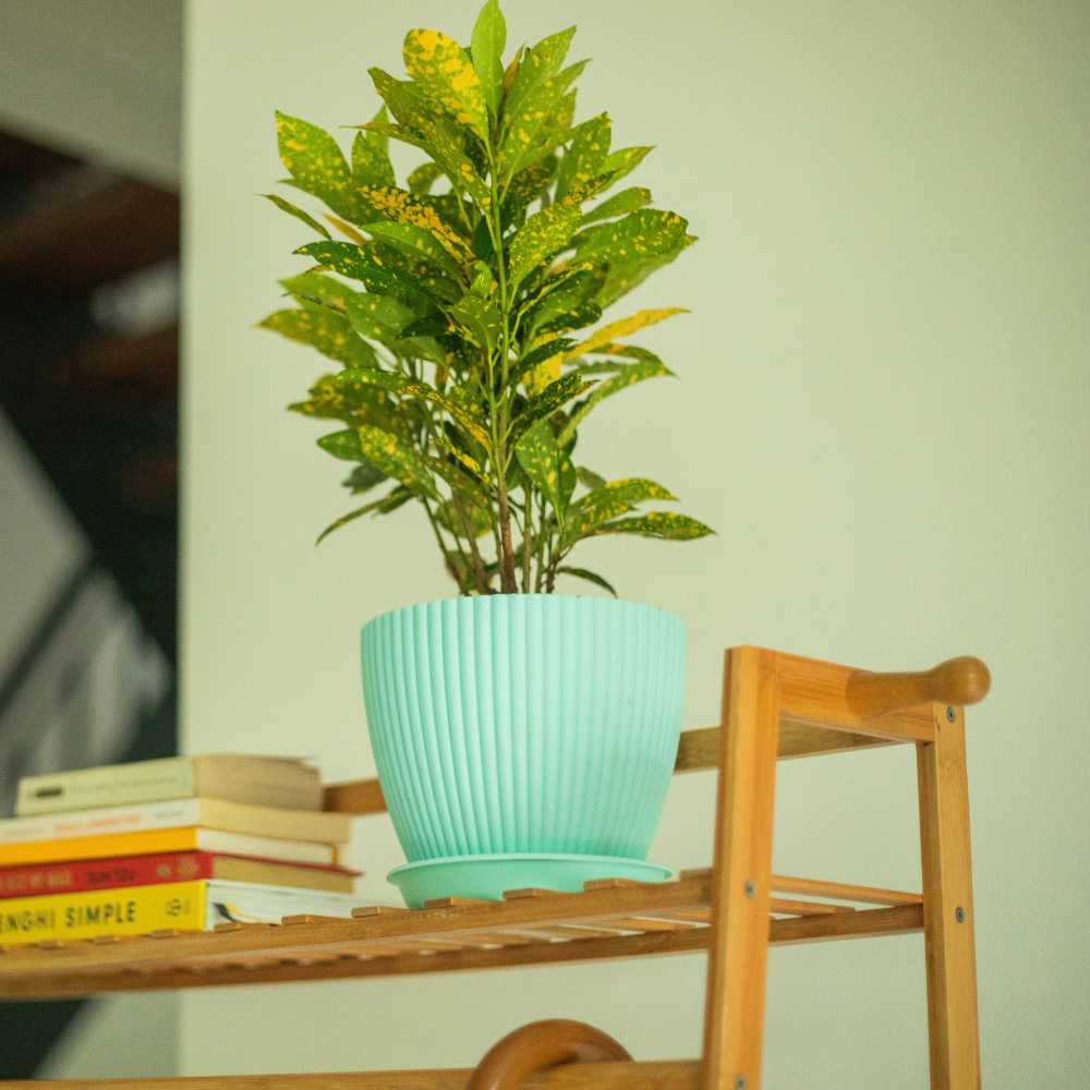 plastic pot for plants with lines