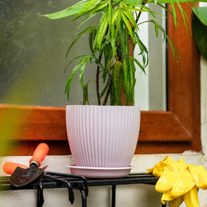 Light pink plastic plant pot