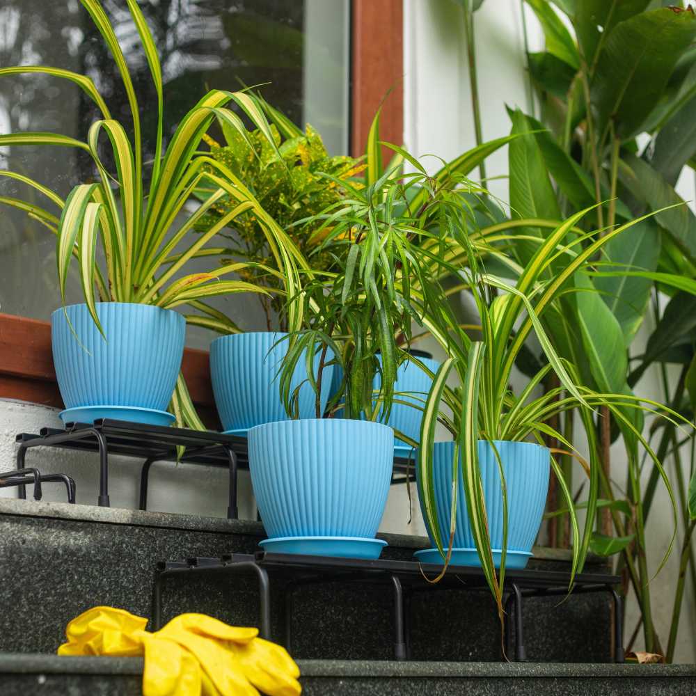 Blue plastic pot set