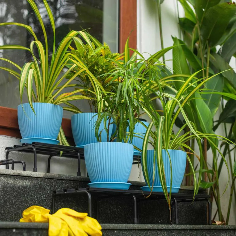 Fluted Dome Plastic Pot with Tray | Set of 5