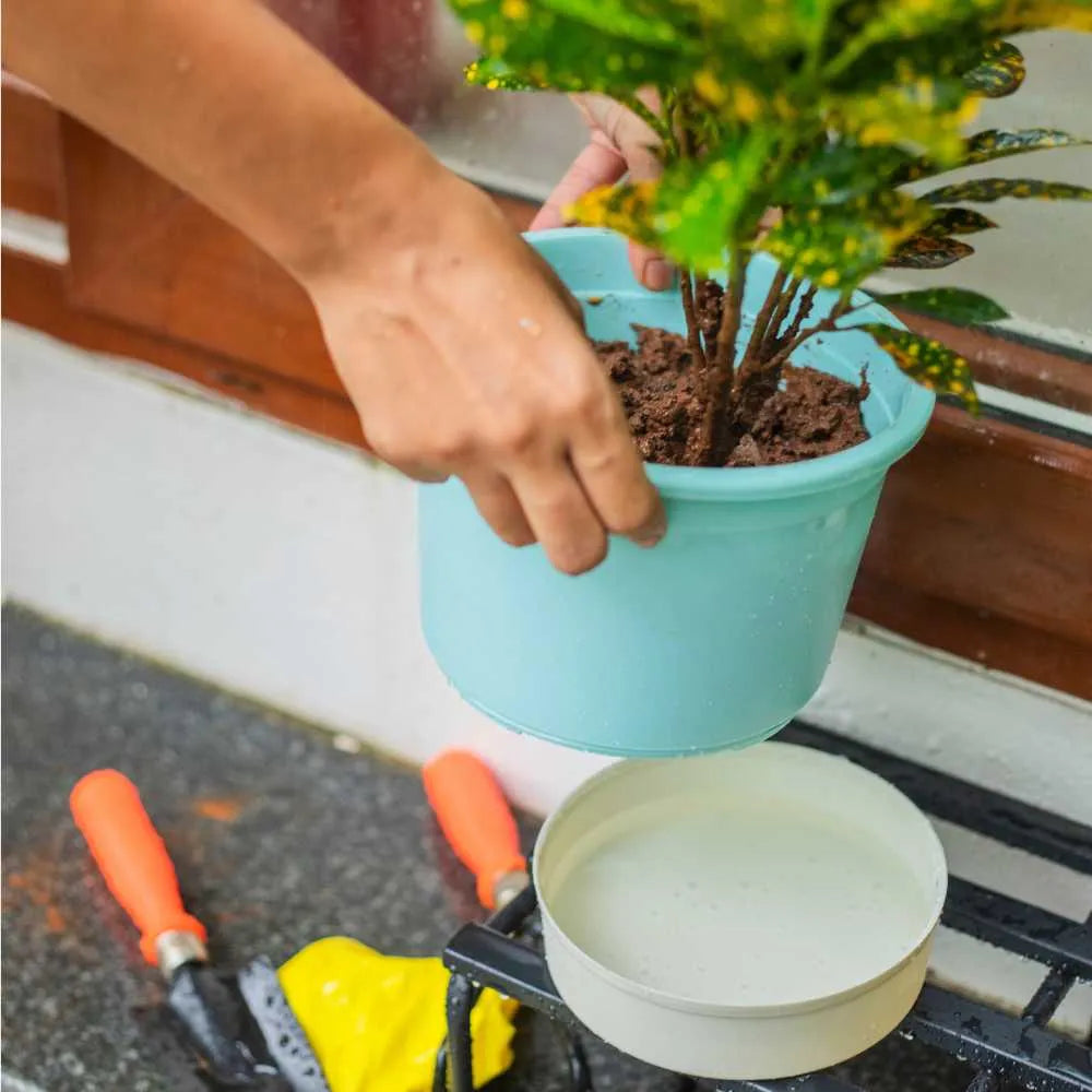 Indoor Outdoor Plastic Pot | 7inch | Pack of 3